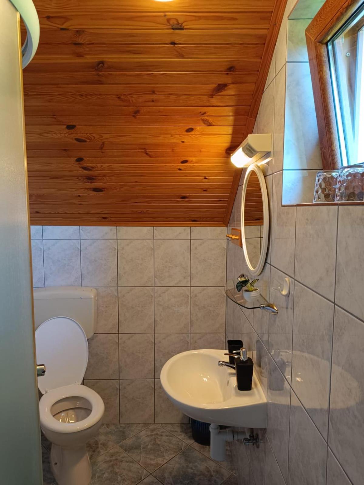 Guesthouse Mirko Hodak Selište Drežničko Exterior foto